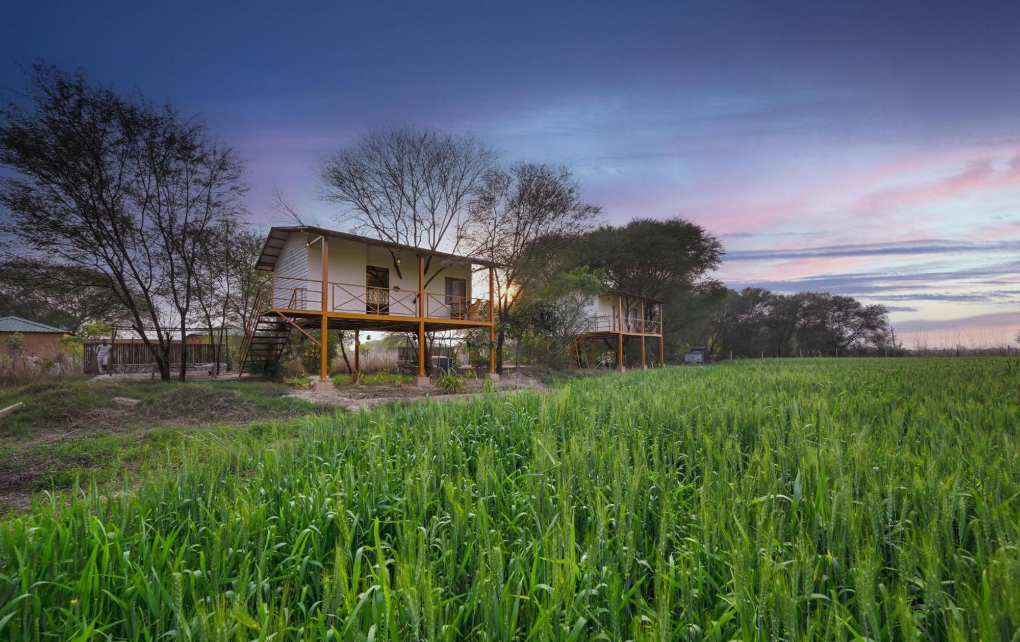 Bagh Serai - Rustic Cottage With Private Pool Sawai Madhopur Exterior photo